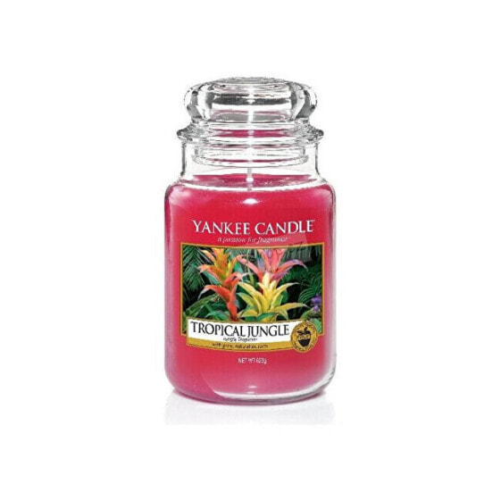 Aromatic candle large Tropical Jungle 623 g