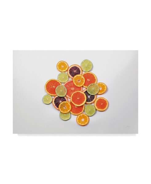 Felicity Bradley Sunny Citrus II Canvas Art - 15" x 20"