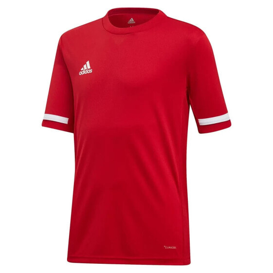 ADIDAS Team 19 short sleeve T-shirt