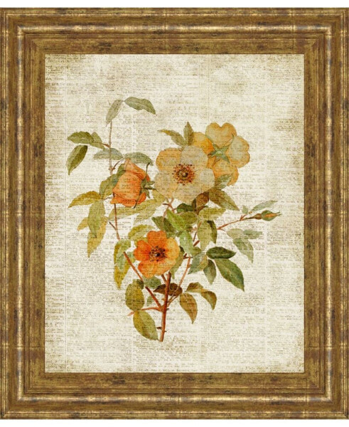 Roses on Newsprint I by Lanie Loreth Framed Print Wall Art - 22" x 26"