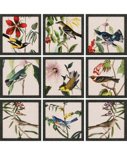 Картина декоративная Paragon Picture Gallery Avian Set of 9, 17" x 17"