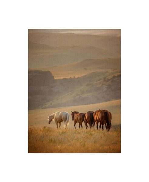 PH Burchett Sunkissed Horses VI Canvas Art - 36.5" x 48"
