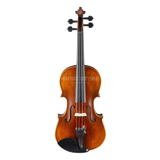 Stentor 4/4 Violine Elysia