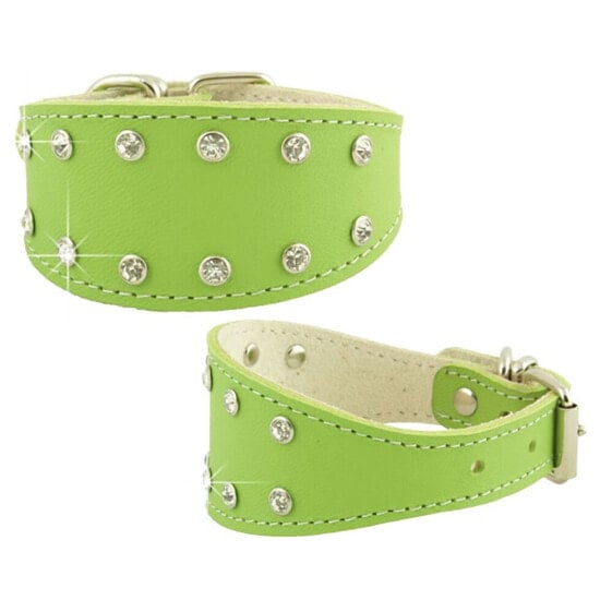 YOUPET Greyhound Fant 35x5 cm Dog Collar