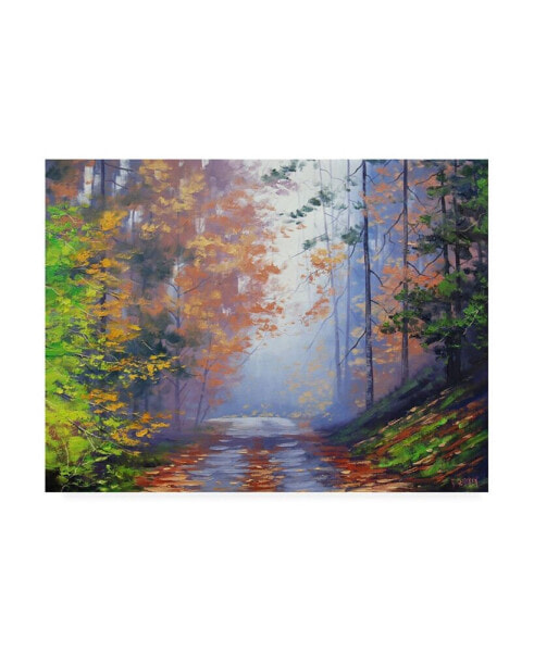 Graham Gercke Autumn Forest Road Canvas Art - 27" x 33.5"