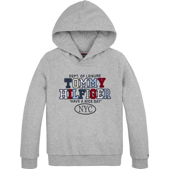 TOMMY HILFIGER KB0KB09050 hoodie