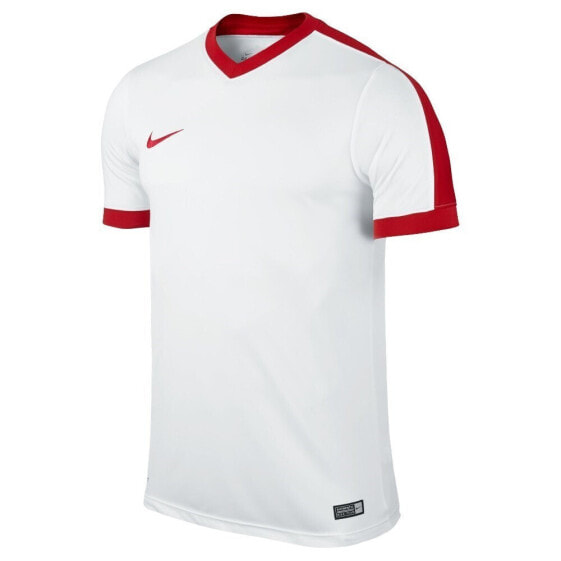 Футболка Nike Striker IV мужская