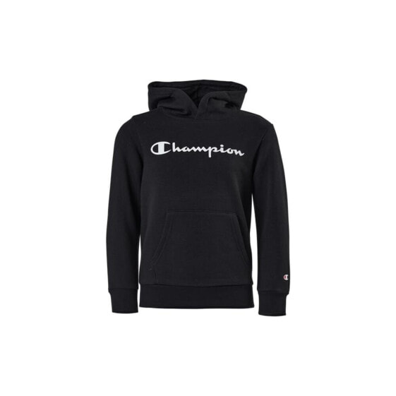 Champion Hooded Sweatshirt