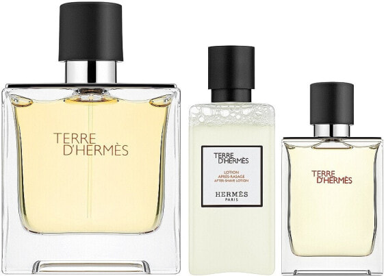 Hermes Terre d'Hermes Parfum