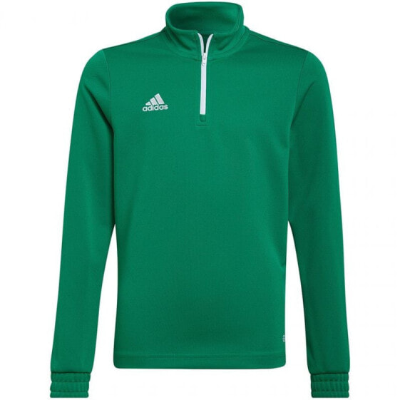 Sweatshirt adidas Entrada 22 Training Top Jr HI2132