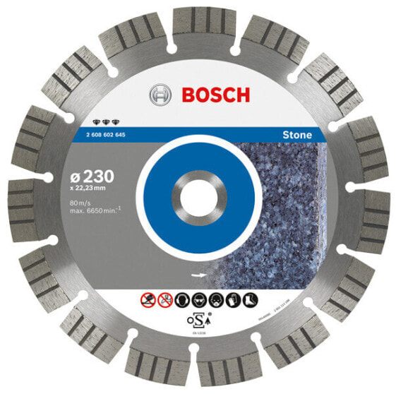 Bosch Diamond Disc 150x22 SEG Stone
