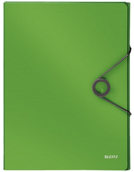Esselte Leitz 45681050 - A4 - Polypropylene (PP) - Green - 250 sheets - 80 g/m² - 250 mm