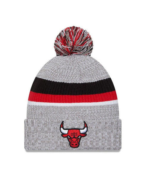 Men's Heather Gray Chicago Bulls Stripes Cuffed Knit Hat with Pom