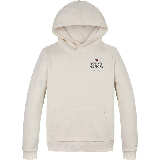 TOMMY HILFIGER KIDS Logo Puff Print hoodie