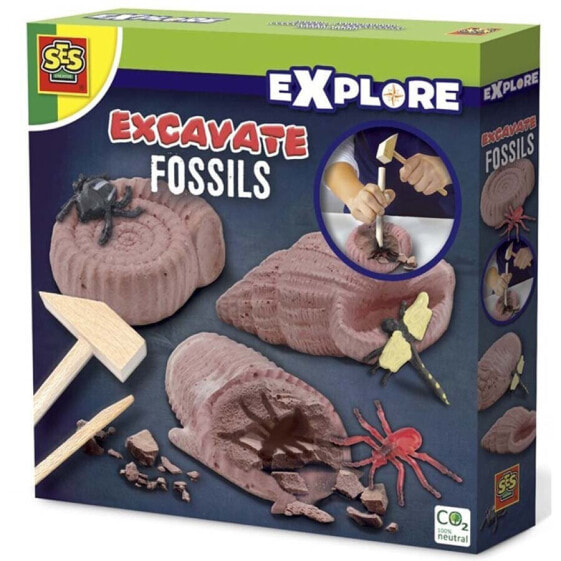 SES Explore excavate fossils