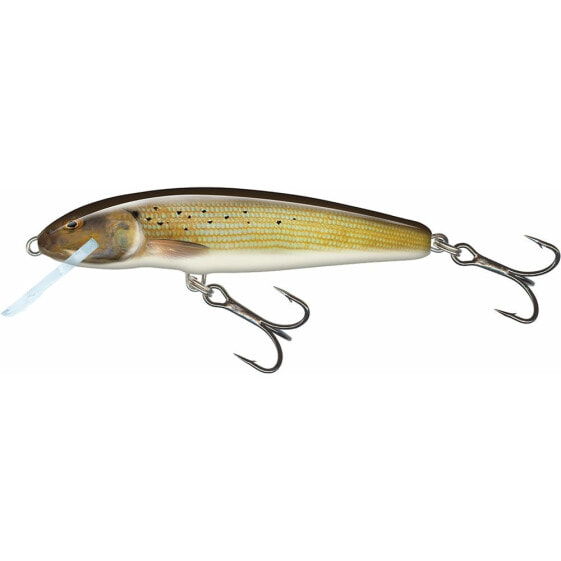 SALMO Sinking minnow 50 mm