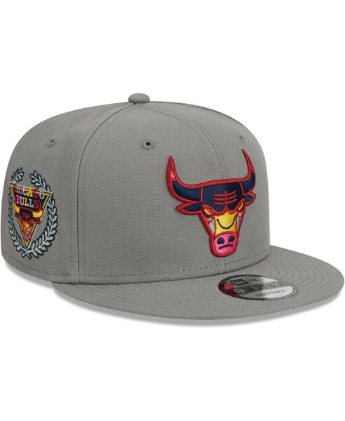 Men's Gray Chicago Bulls Color Pack 9FIFTY Snapback Hat