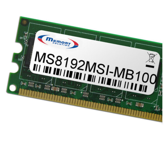 Memorysolution Memory Solution MS8192MSI-MB100 - 8 GB - Green