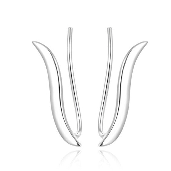 Longitudinal silver earrings AGUV2291