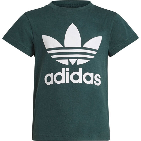 ADIDAS ORIGINALS Adicolor Trefoil short sleeve T-shirt