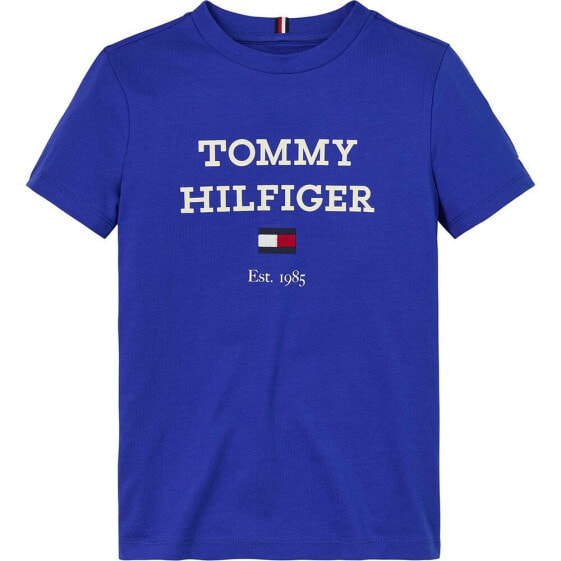 Футболка с коротким рукавом Tommy Hilfiger с логотипом