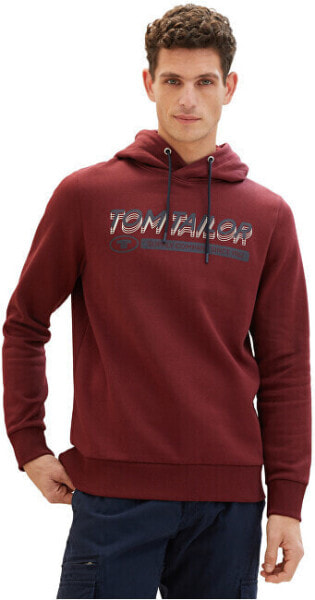 Спортивное худи Tom Tailor лого 1039649.10574