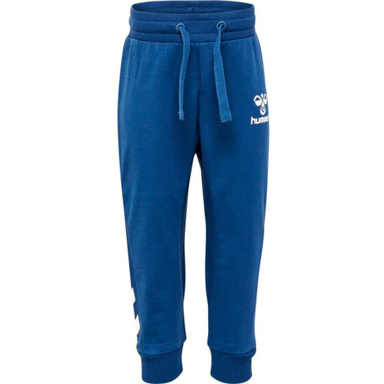 HUMMEL Apple Tracksuit Pants