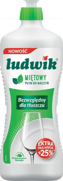 Ludwik LUDWIK dishwashing liquid, mint, 900g