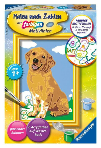 Раскраска для детей Ravensburger MNZ Kleiner Golden Retriever