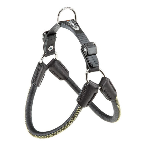 FERPLAST Agila Derby 6 Harness