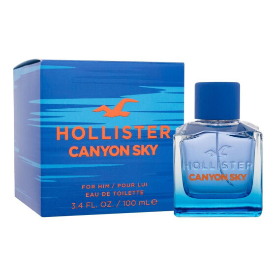 Hollister Canyon Sky 100 ml eau de toilette für Herren