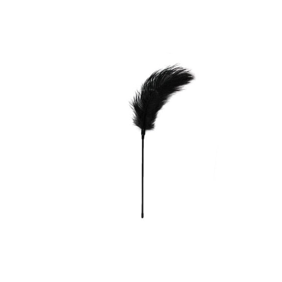 Black Feather Tickler