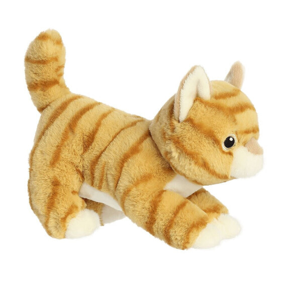 ECO NATION Aurora Orange Tabby teddy