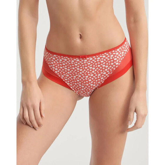 DIM PARIS Ballerine Generous Panties