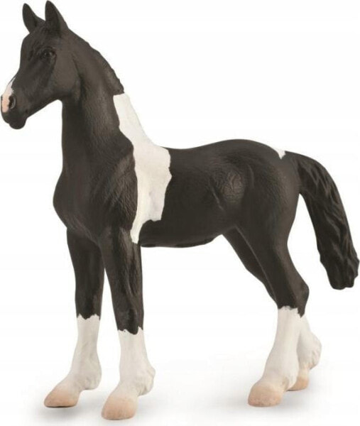 Фигурка Collecta FIGURKA ŹREBIĘ BARCOCK PINTO - CollectA - 88893 - M &nbsp; 
[Фигурка] [CollectA] [Źrebię Barcock Pinto] [Horses] (Лошади)