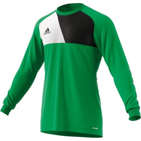 Мужской свитшот спортивный зеленый Adidas Assita 17 GK