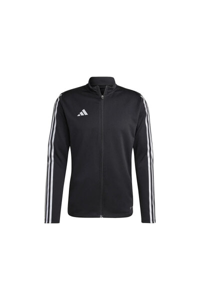 Олимпийка Adidas Tiro23 L Wb Erkek Futbol Yeşil