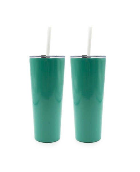 24 oz Insulated Straw Tumblers Set, 2 Piece