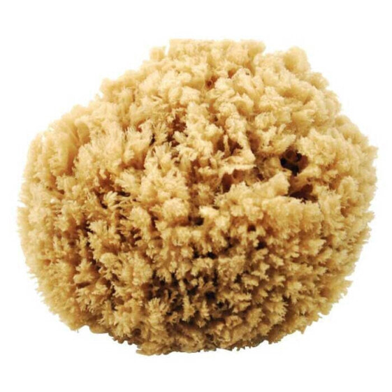 OEM MARINE N46 Natural Sponge