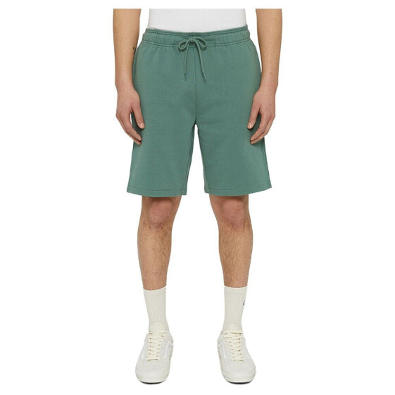 DICKIES Mapleton shorts
