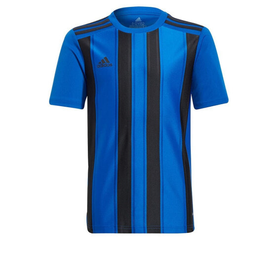 ADIDAS Striped 21 short sleeve T-shirt