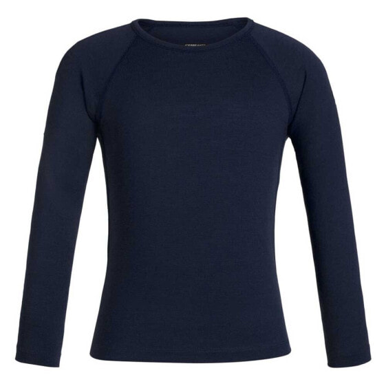 ICEBREAKER 200 Oasis Merino long sleeve T-shirt