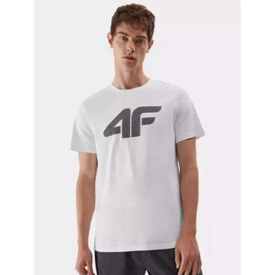 T-shirt 4F M 4FAW23TTSHM0877-10S