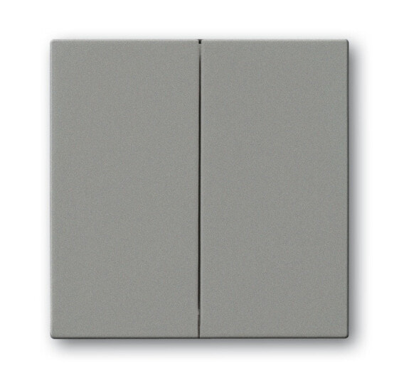 BUSCH JAEGER 1751-0-3018 - Buttons - Gray - Plastic - 63 mm - 63 mm - 1 pc(s)