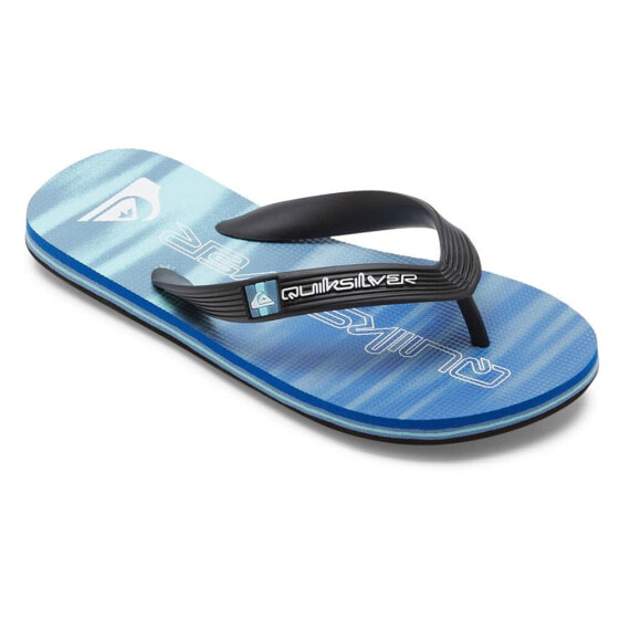 Сланцы Quiksilver Molokai Art II Flip Flops