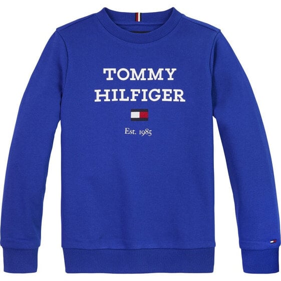 TOMMY HILFIGER KB0KB08713 sweatshirt