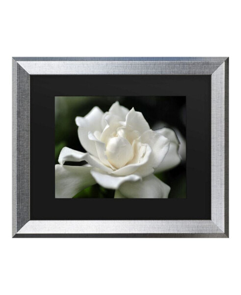 Kurt Shaffer Lovely Gardenia Matted Framed Art - 27" x 33"