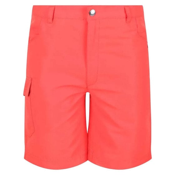 REGATTA Sorcer II Shorts