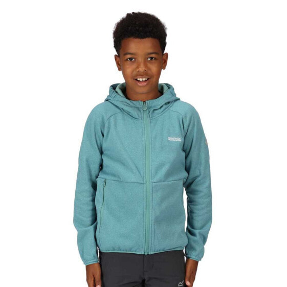 REGATTA Maxwell II hoodie fleece