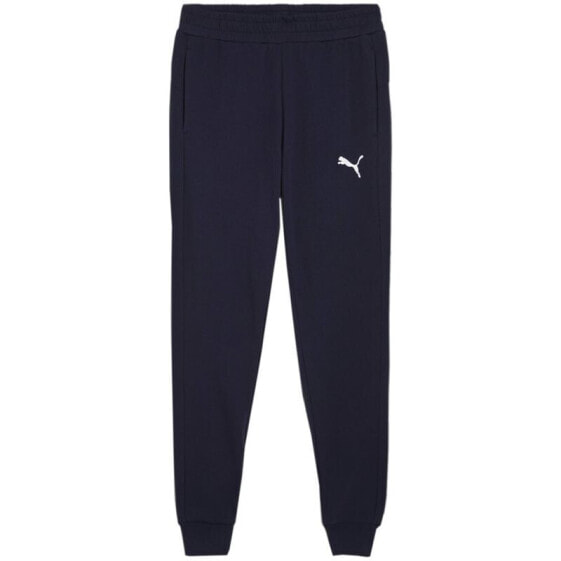 Puma Team Goal Casuals M 658598 06 pants